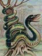 La mort du Serpent